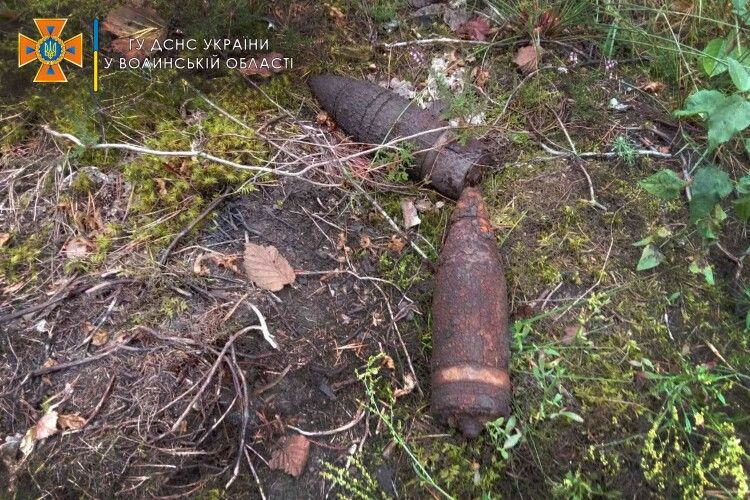 Волинські піротехніки знешкодили три боєприпаси, виявлені людьми (Фото)
