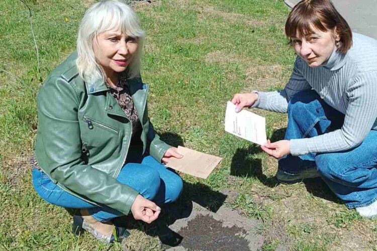 У Ковелі висадили особливий сорт соняшника «Богдан Гаврилишин», приєднавшись до Марафону відповідальності