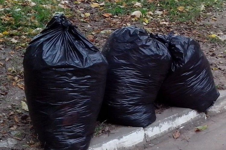 На Володимирській у Луцьку «муніципали» злапали сміттєву «зозулю»