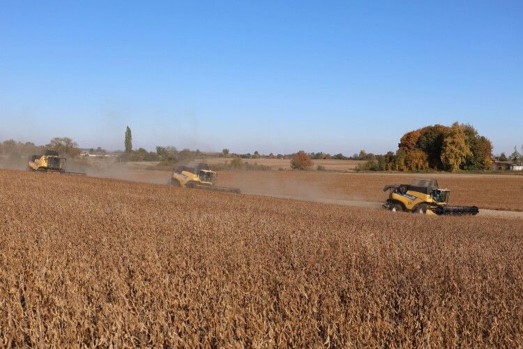 Аграрії Волині зібрали понад 1 млн тонн зерна