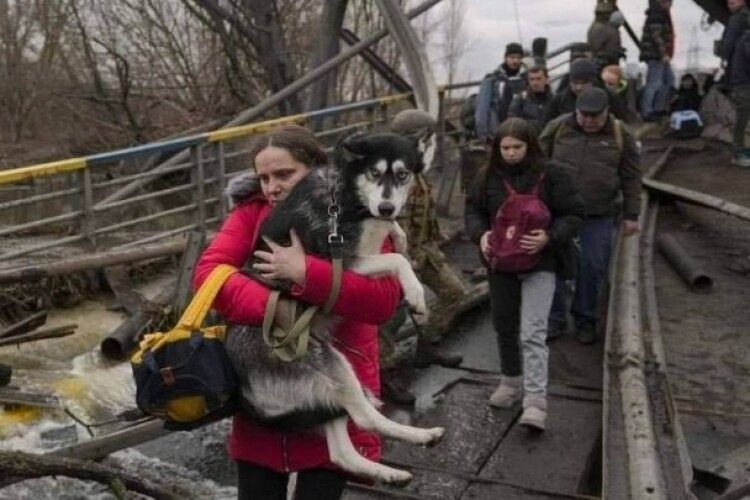 Кадри, від яких стискається серце: як люди під обстрілами тікали з Ірпеня (Фото)