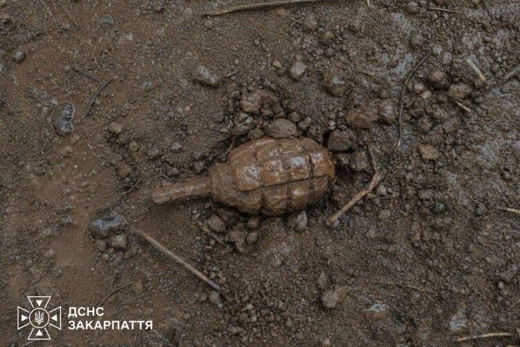 На туристичному маршруті в Карпатах знайшли гранату часів Другої світової
