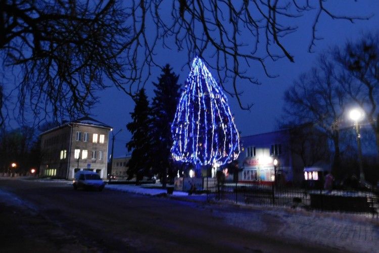 У Горохові традиційно нарядили «живу» ялинку