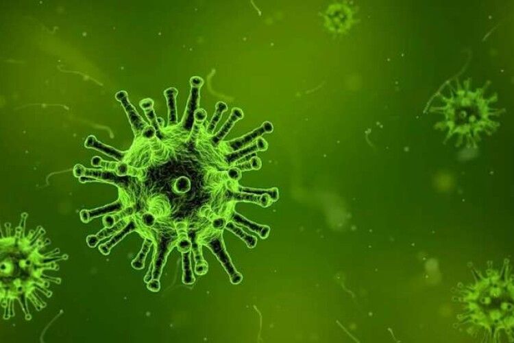У ВООЗ спрогнозували терміни завершення пандемії коронавірусу