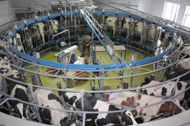 На Турійщині триває будівництво сучасного молочного комплексу 