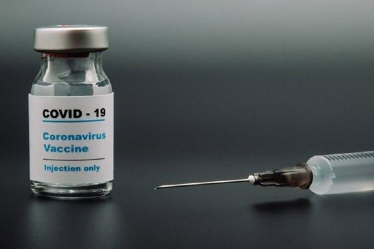 У Польщі на мишах тестують українську вакцину