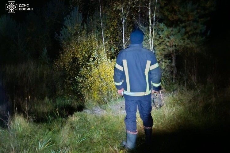 На Волині знайшли зниклу жінку, яка заблукала у лісі 