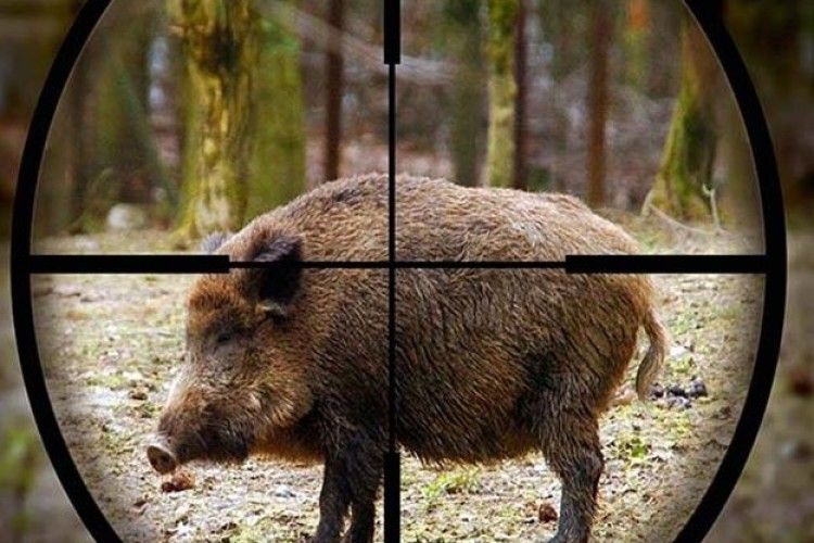 У маневицьких лісах злапали чотирьох браконьєрів