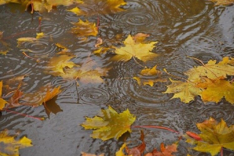 Західну Україну заллють дощі, місцями – зливи