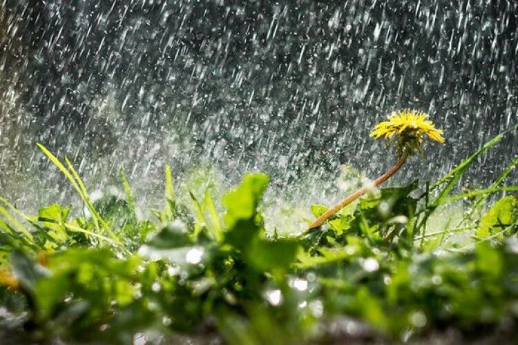 Погода на суботу, 29 травня: цього дня на Волині, бувало, тріщали морози