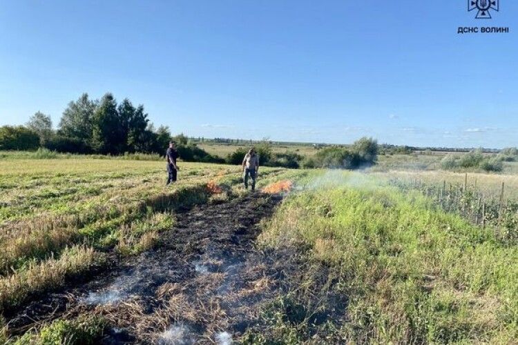 На Волині чоловіки сплатять штраф за підпал сухої трави