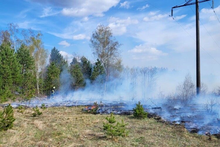 Горіли ліси та чагарники: на Волині вогонь знищив три гектари рослинності 