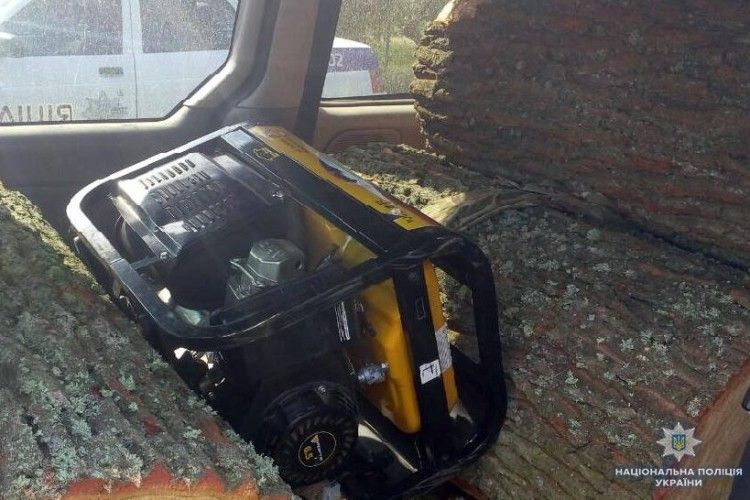 Стало відомо, хто вкрав два дуби у Ківерцівському районі