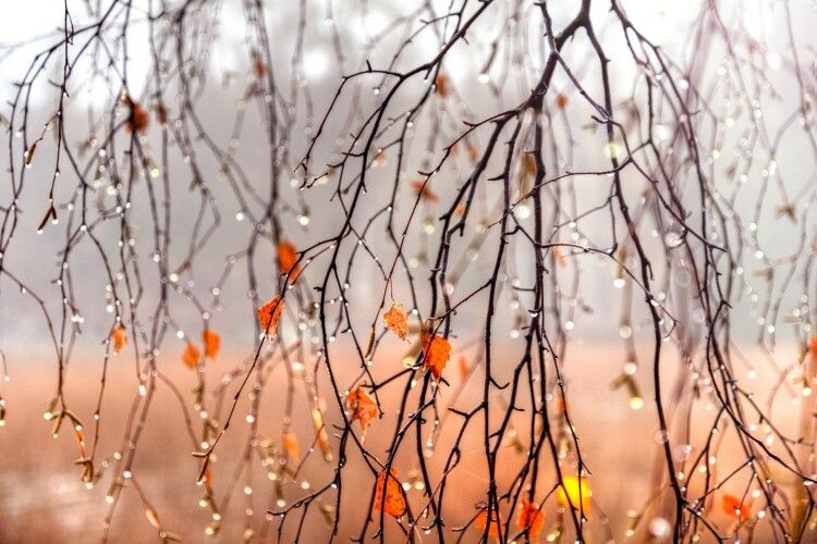 Якою буде погода на Волині