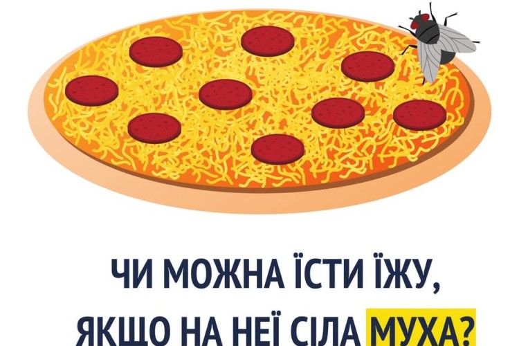 Уляна Супрун закликала українців мити пироги, по яких прошпацирували мухи