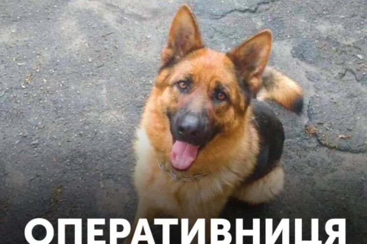 Джесі розкрила злочин всього за 10 хвилин