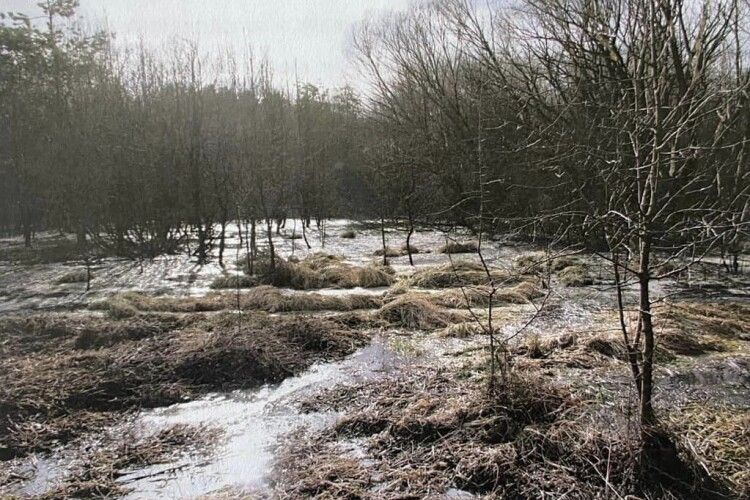 На Волині директор мʼясокомбінату постане перед судом