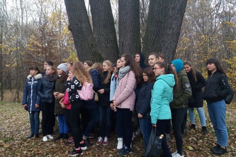 Дві дюжини школярів зі всієї Волині гайнули в Папики –  дивитися на п’ятистовбурного дуба