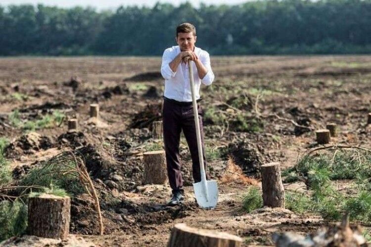 Мільярд дерев. Держлісагентство визнало, що не подужає план Зеленського