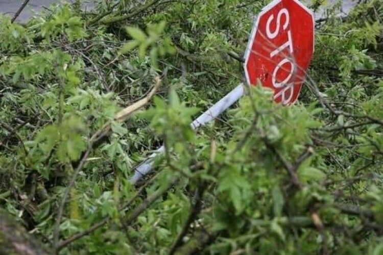 У прикордонних з Рівненщиною селах дороги завалюють деревами, щоб армія Білорусі не пройшла