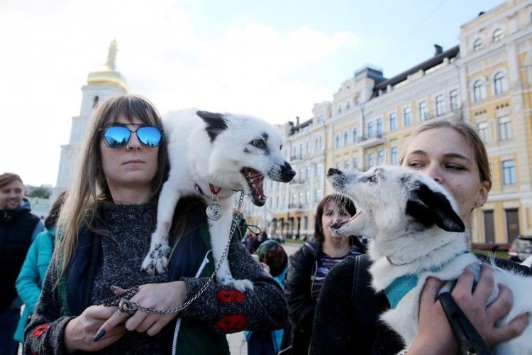 Українці вийшли на марш за права тварин 