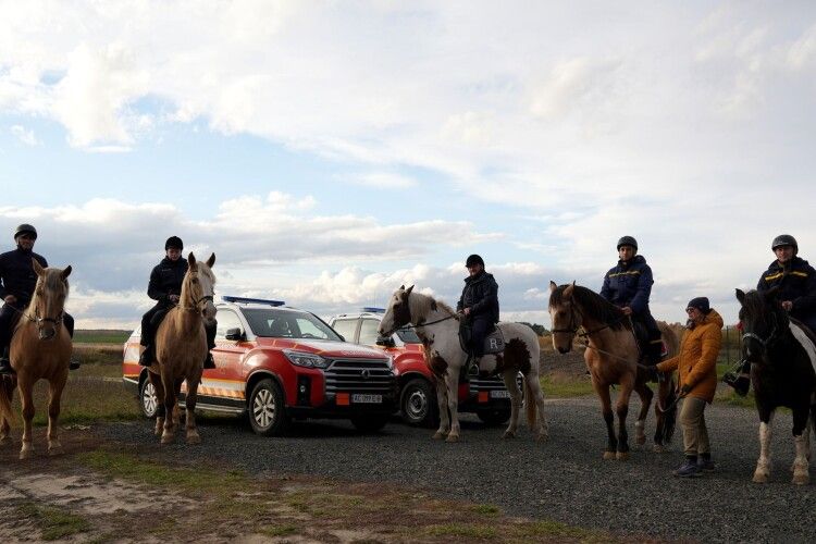 Волинським саперам допомагають відновлювати внутрішній ресурс коні