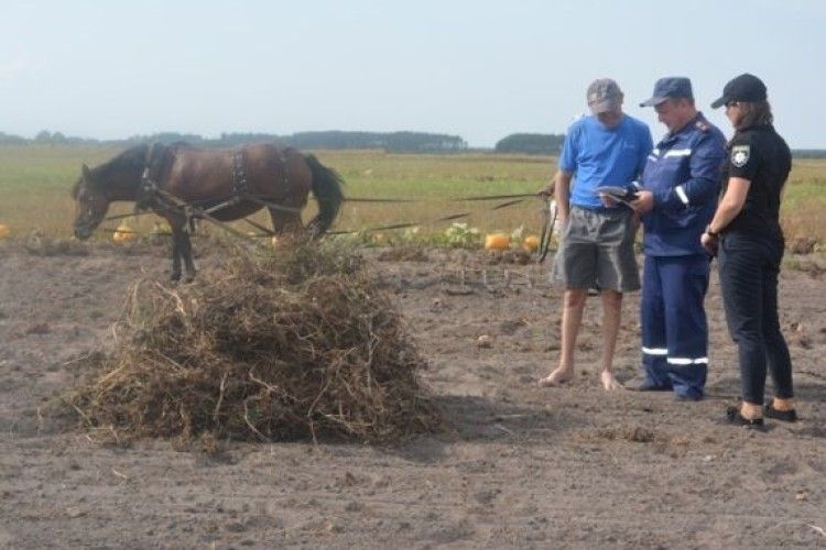 Прийшла осінь – на Любешівщині димлять поля