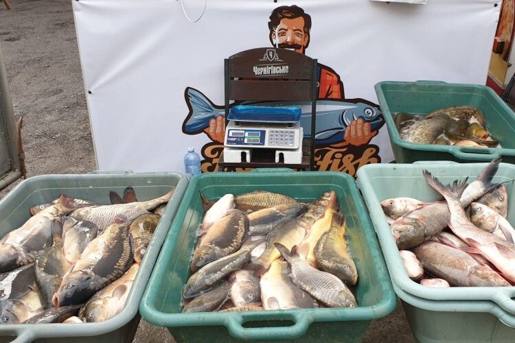 Чи безпечна риба: у двох містах на Волині перевірили місцеві ринки