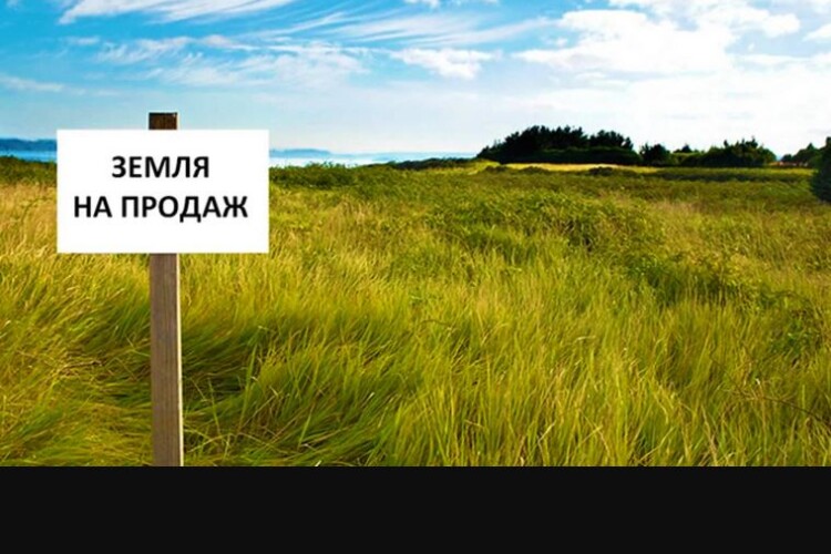 Донька інструктора ТЦК з Волині викупила право на оренду 2,8 га ріллі біля Львова 