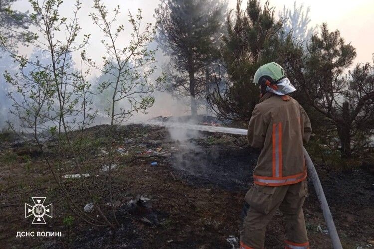 На Волині горіли сміттєзвалища (Фото) 