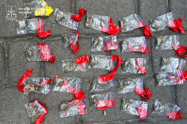 У Львові жінка для наркобізнесу використовувала свою 5-річну доньку як прикриття