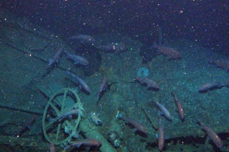 В океані «спливла» зникла більше століття тому субмарина
