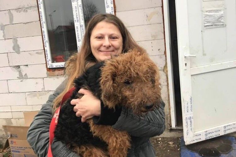 Кудлату лучанку Жужу вхопило за хвіст собаче щастя