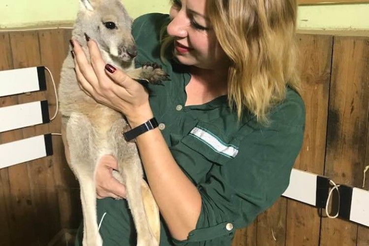 Директорка Луцького зоопарку в Рівному цілувалася з кенгуру