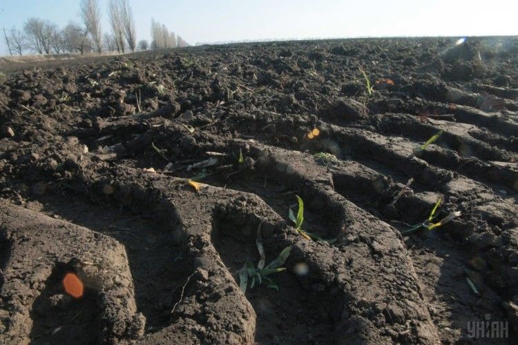 Прокуратура розслідує виділення атовцям земельних ділянок… на кладовищі