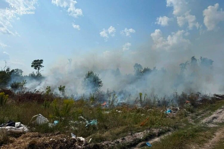 На Волині три бригади пожежників понад годину гасили загоряння сміття