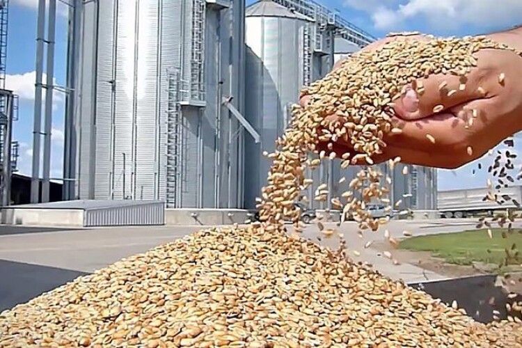 Сухі порти: Волинь має змогу збільшити експорт зерна у 30 разів
