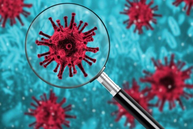 За останню добу в Нововолинську методом ПЛР підтверджено 6 нових випадків коронавірусної хвороби