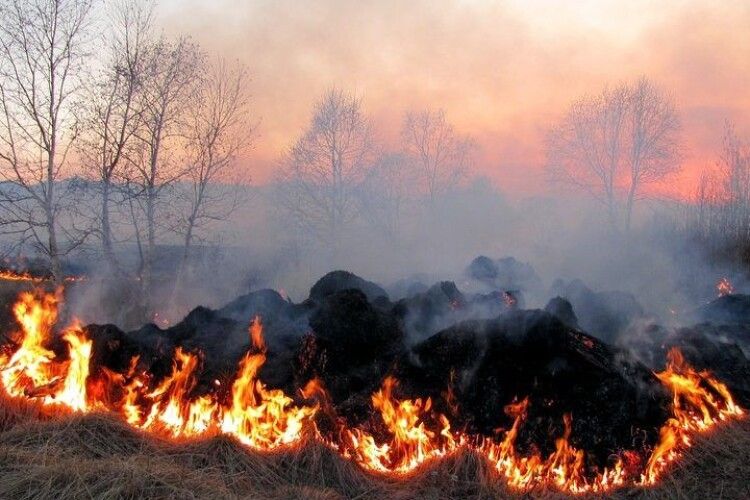 В Україні - надзвичайний рівень пожежної небезпеки. Волинь – в зоні ризику