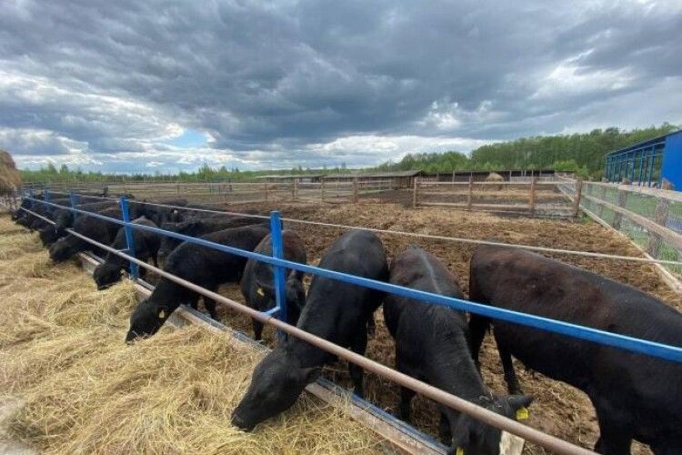 Фермерське господарство на Рівненщині отримало майже пів мільйона гривень компенсацій від держави