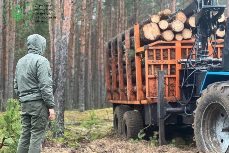 На Волині спіймали авто з немаркованою деревиною