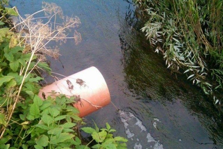 Пивзавод має дозвіл на злив дощових стоків у Сапалаївку. А «Волиньгаз»?