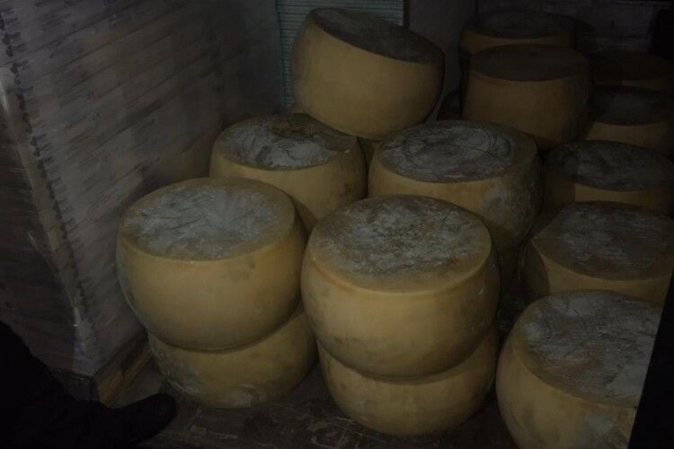 На кордоні серед гіпсокартону прикордонники виявили 2 тонни сиру (Фото, відео)