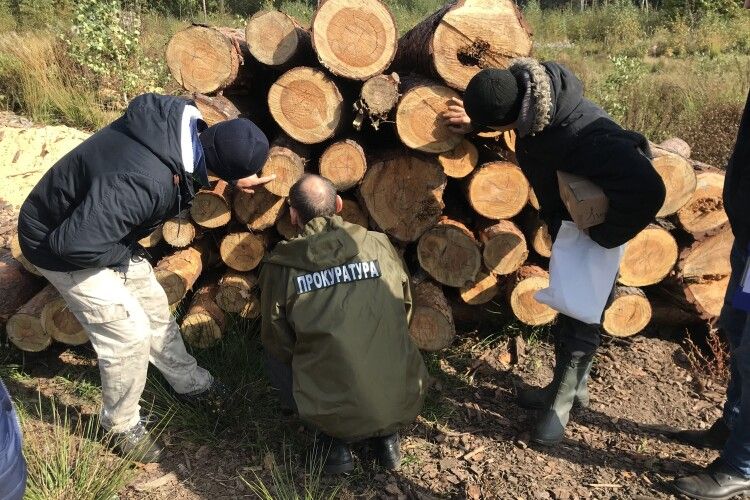 На Волині накладено арешт на понад 600 куб. м незаконної деревини (Фото)