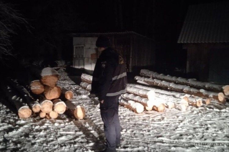 Лісові браконьєри вивантажили крадену деревину на чужому подвір’ї (Фото)