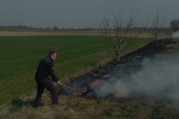 На Волині екоінспектори виявили паліїв та продавців черемші: як покарали