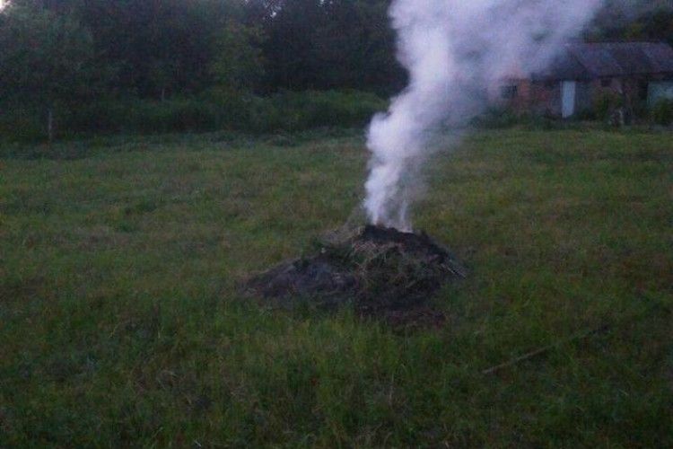 Житель Володимирської заплатить кругленьку суму за те, що наважився спалити бур'яни на власному городі