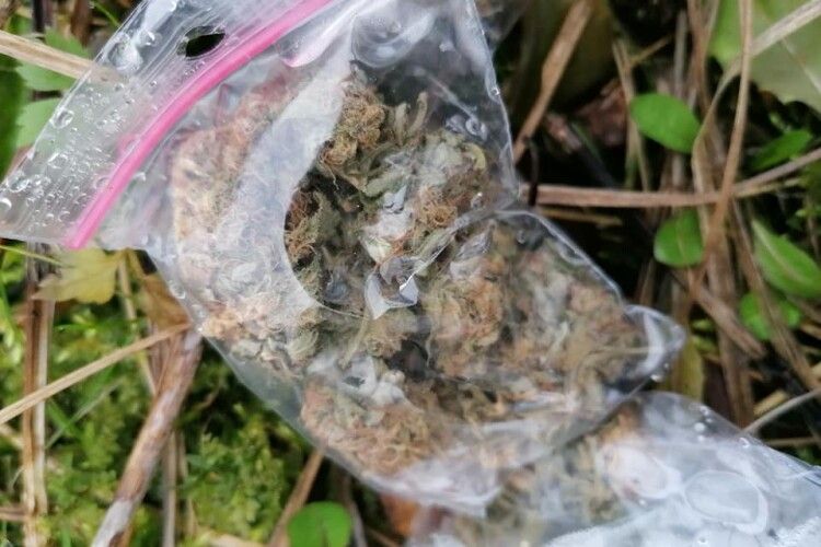 У Луцькому парку знайшли пакети з марихуаною