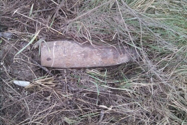 На Волині піротехніки ДСНС знешкодили 20 боєприпасів часів минулих воєн