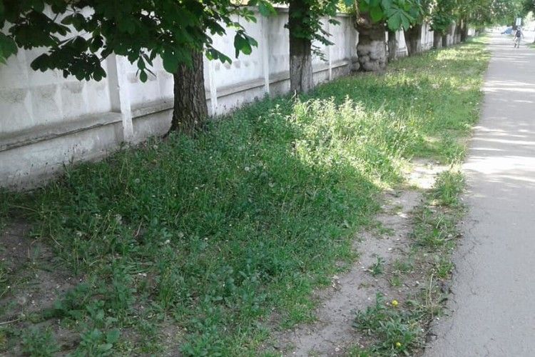 Муніципальна варта Луцька взялася за траву